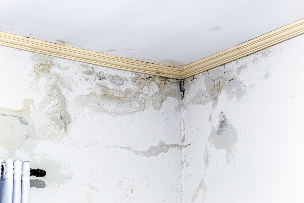Damp Proofing Isle of Man